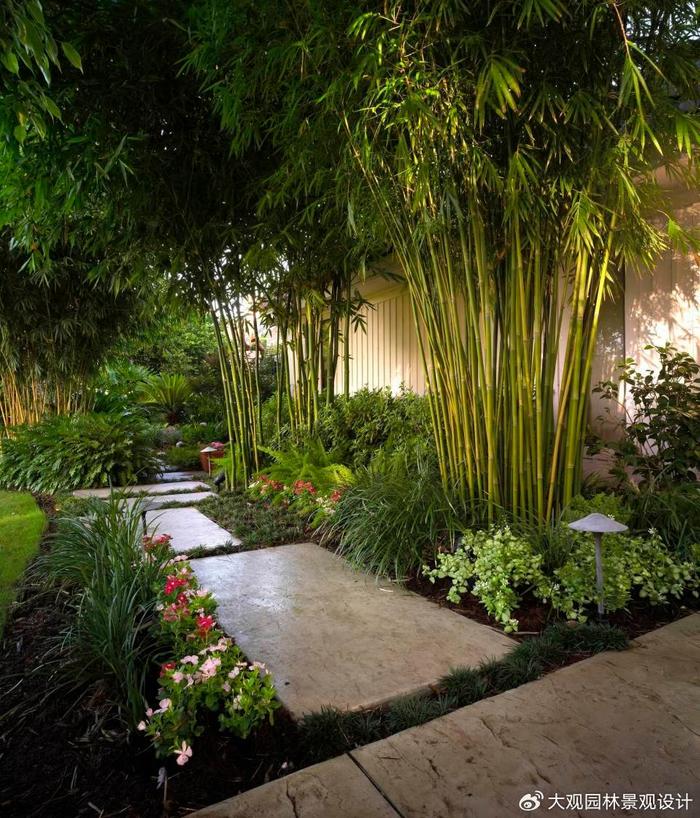 园林景观设计中常用的竹类苗木产品有哪些你知道吗?__财经头条