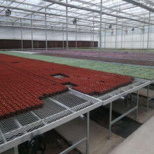 2020苗床价格 报价 苗床批发 第2页 园林网