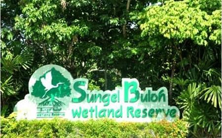 湿地公园如何规划 新加坡双溪布洛湿地公园规划设计案例详解