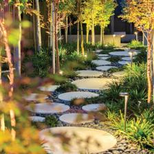 园林景观设计的自然美!