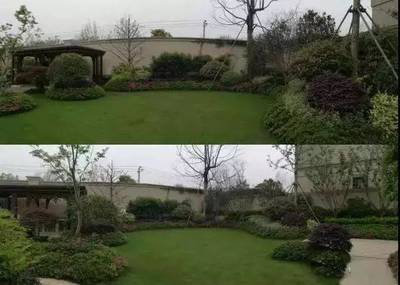 园林绿化及园林绿化施工全解 从设计到实施