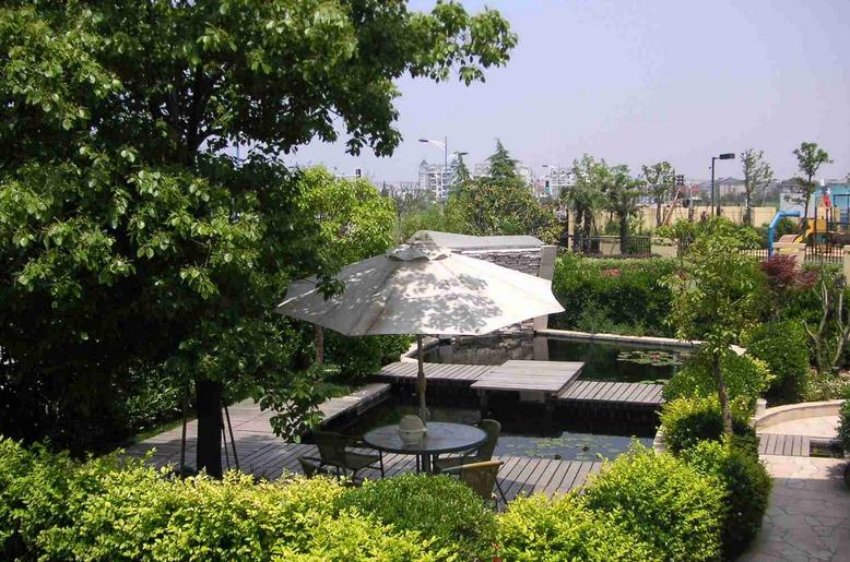 现代园林风格的设计理念与实践