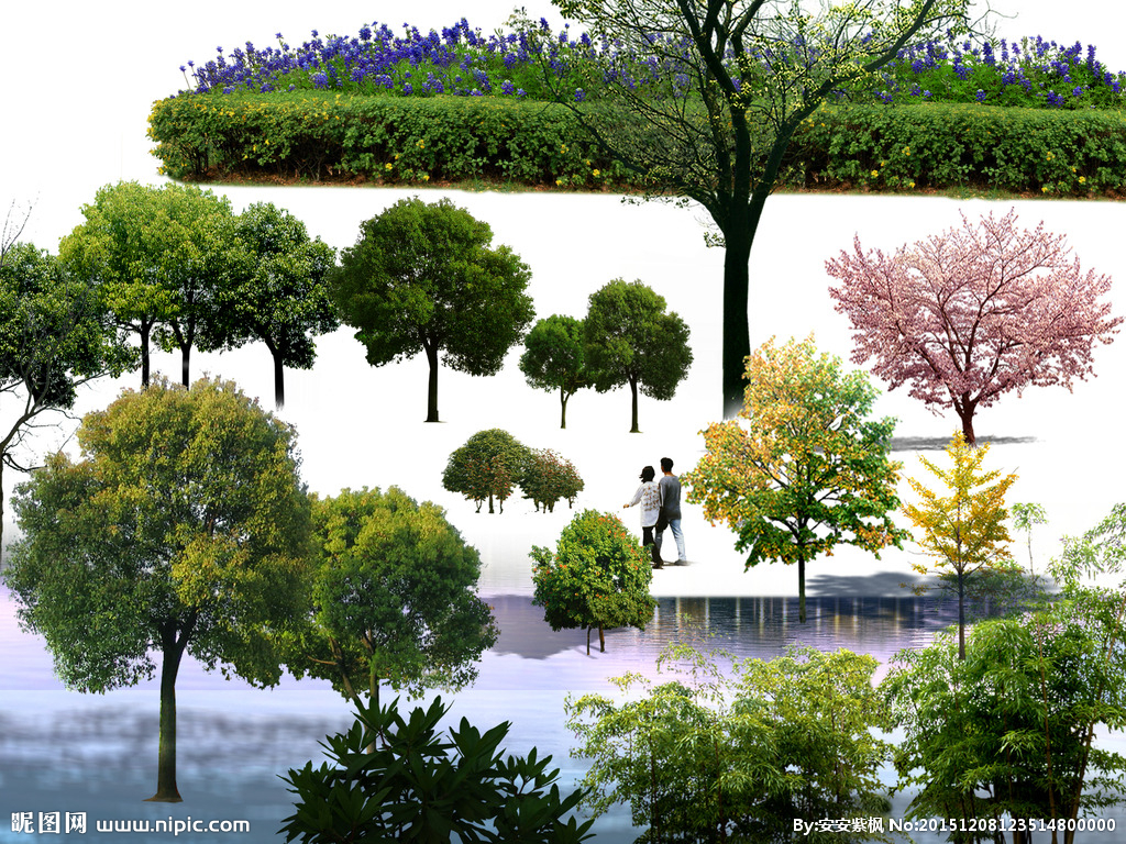 庭院素材与园林设计的融合艺术