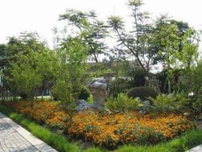 广州园林绿化与景观设计 专业服务全解析