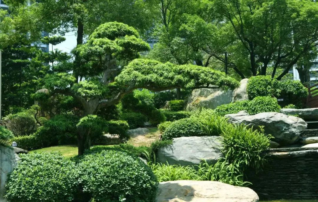 园林设计落地难的问题,被室内设计师说出来了.